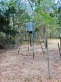 32 Acres Dunlavy - Photo 8