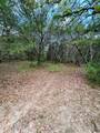 32 Acres Dunlavy - Photo 9