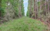 0 Winters Ranch Road - Photo 10