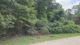Lot 5 B55 Tawnyberry Lane - Photo 10