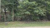 Lot 5 B55 Tawnyberry Lane - Photo 11