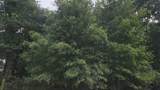 Lot 5 B55 Tawnyberry Lane - Photo 12