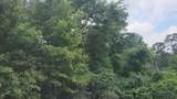 Lot 5 B55 Tawnyberry Lane - Photo 13