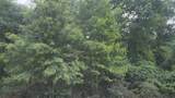 Lot 5 B55 Tawnyberry Lane - Photo 16