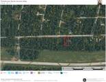 Lot 5 B55 Tawnyberry Lane - Photo 3
