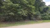 Lot 5 B55 Tawnyberry Lane - Photo 6