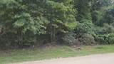 Lot 5 B55 Tawnyberry Lane - Photo 8