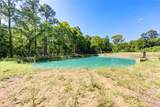 Lot 13 Spring Branch Road - Photo 19