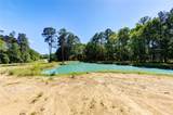 Lot 13 Spring Branch Road - Photo 21