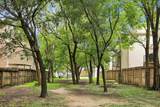 915 Knox Street - Photo 27