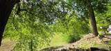 15 Hudson Circle - Photo 4