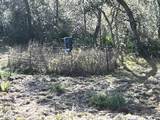 10200 County Road 505 - Photo 6