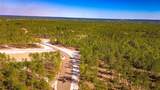 046 Tumbleweed Ranch Rd Road - Photo 10