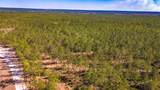 046 Tumbleweed Ranch Rd Road - Photo 11