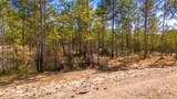 046 Tumbleweed Ranch Rd Road - Photo 6