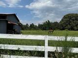 TBD Beech Drive - Photo 6