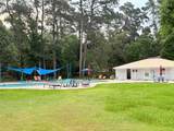 TBD Beech Drive - Photo 7