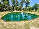 14733 Calhoun Main House Road - Photo 4