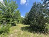 Lot #3 Cr 218 Road - Photo 9
