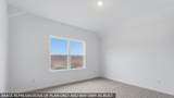 3919 Grizzly Bear Pass - Photo 12