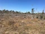 Lot 15 County Road 175 - Photo 4