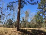 Lot 15 County Road 175 - Photo 5