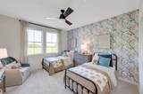 4005 Cardinal Way - Photo 17