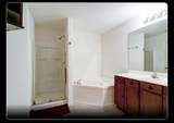 9815 Opal Rock Drive - Photo 7