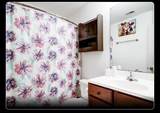 9815 Opal Rock Drive - Photo 9