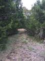 857 Rutherford - Photo 5