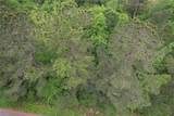 TBD Eastepp Road - Photo 2