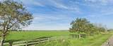 TBD County Road 200 - Photo 3
