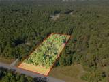 185 Rim Rock Road - Photo 7