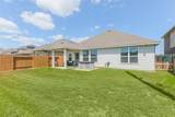 10418 Matterhorn Drive - Photo 19