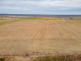 5491 County Road 209 - Photo 7