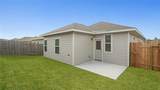 25707 Northpark Palm Drive - Photo 16