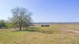 28 Acres Shaws Bend Road - Photo 14