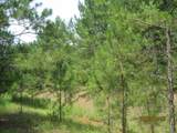 30079 Round Up Drive - Photo 14