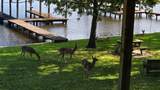 616 Marina Road A - Photo 6