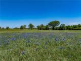 Tract 1 Fm 1291 - Photo 1