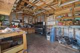 903 Horlock Street - Photo 30