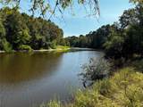 Tract 4 Trinity Lady Park Road - Photo 1