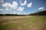 15516 Forest Grove Drive - Photo 4