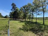 4335 Fm 1374 Road - Photo 7