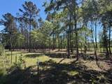4335 Fm 1374 Road - Photo 8