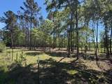 4335 Fm 1374 Road - Photo 9
