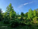 475 County Road 4421 - Photo 17