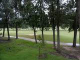 12900 Walden Road - Photo 35