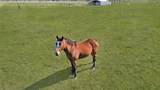 9309 Cr 264 Road - Photo 15