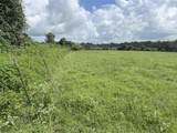 TBD Holik Road - Photo 13